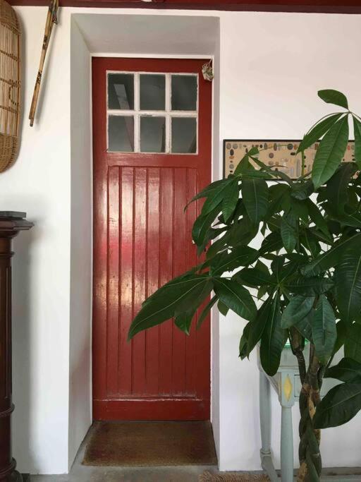 Appartement En Rez De Jardin Ciboure Luaran gambar